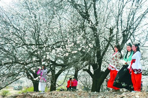 太阳成集团tyc41183团队协作